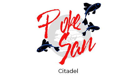 Poke-san At The Citadel